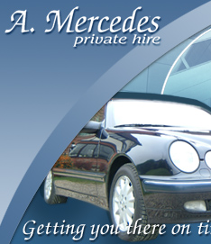 amercedes.net home page